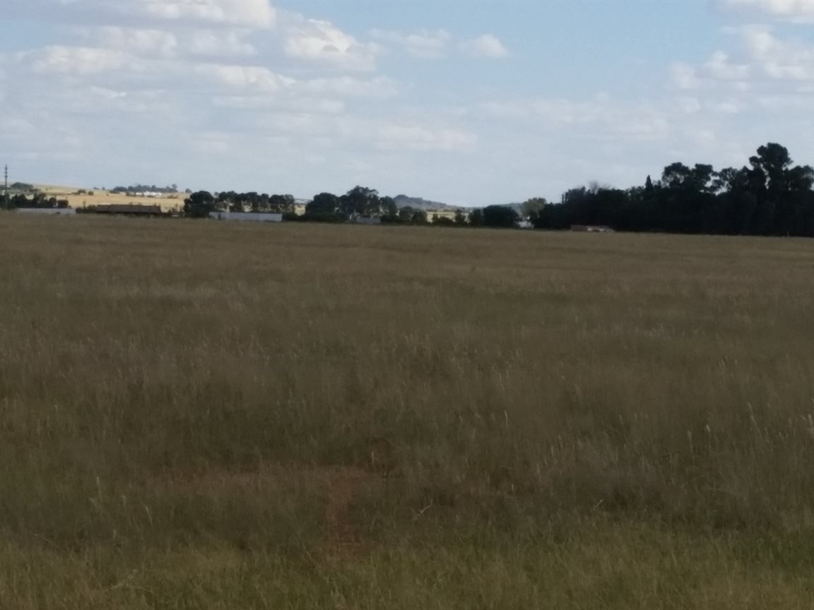 10.7 GRAZING  VACANT  LAND !  photo 5