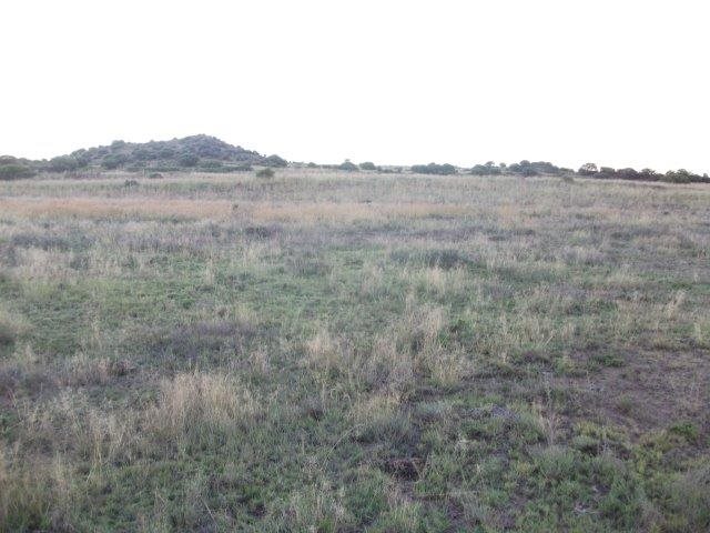 GRAZING AND IRRIGATION FARM  photo 5