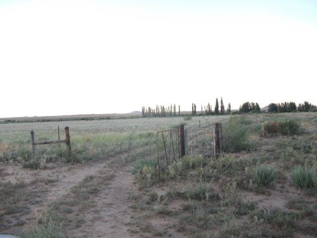 GRAZING AND IRRIGATION FARM  photo 3