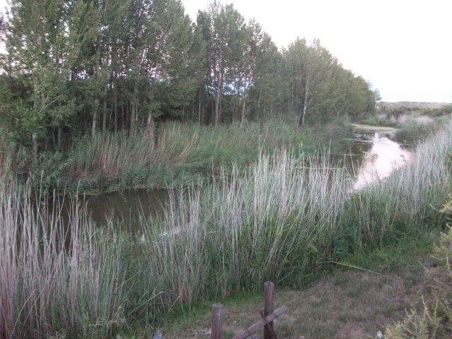 GRAZING AND IRRIGATION FARM