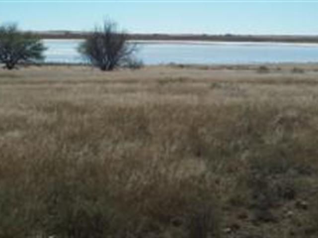 LIVESTOCK AND ENORMOUS POTENTIAL IRRIGATION FARM