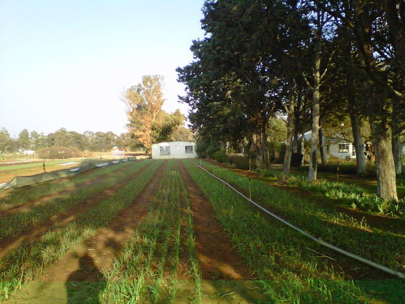 10 HA  SMALLHOLDING WITH STRONG WATER photo 3