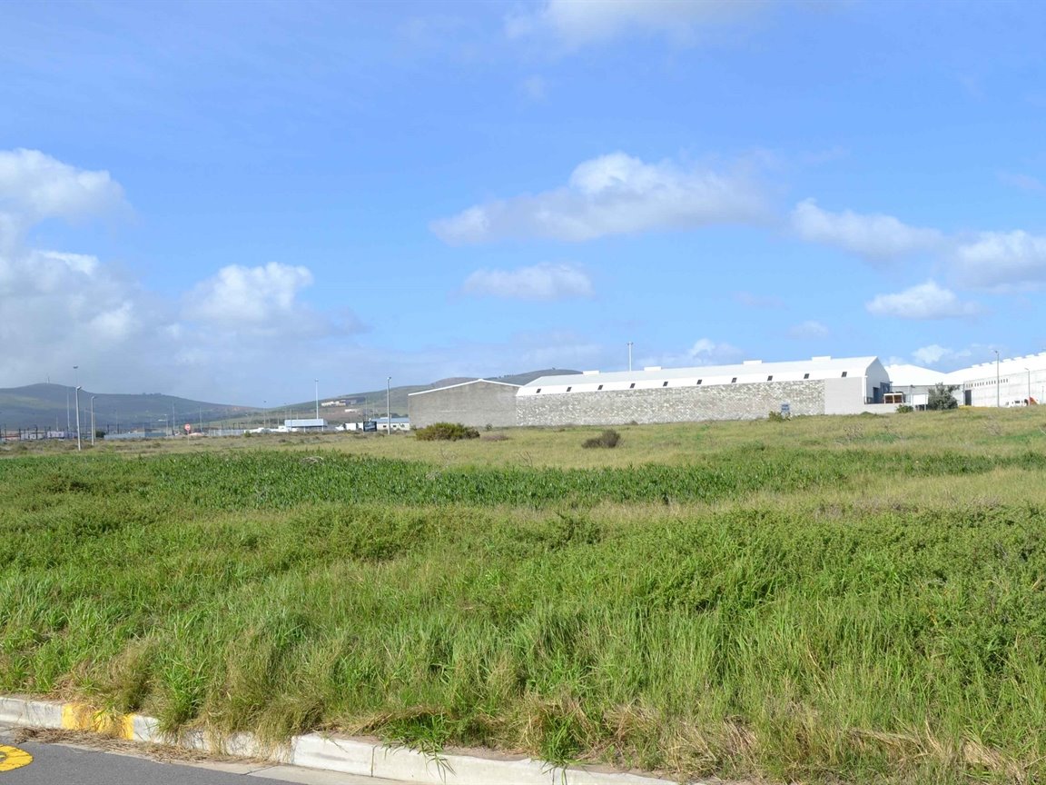 GRAZING FARM