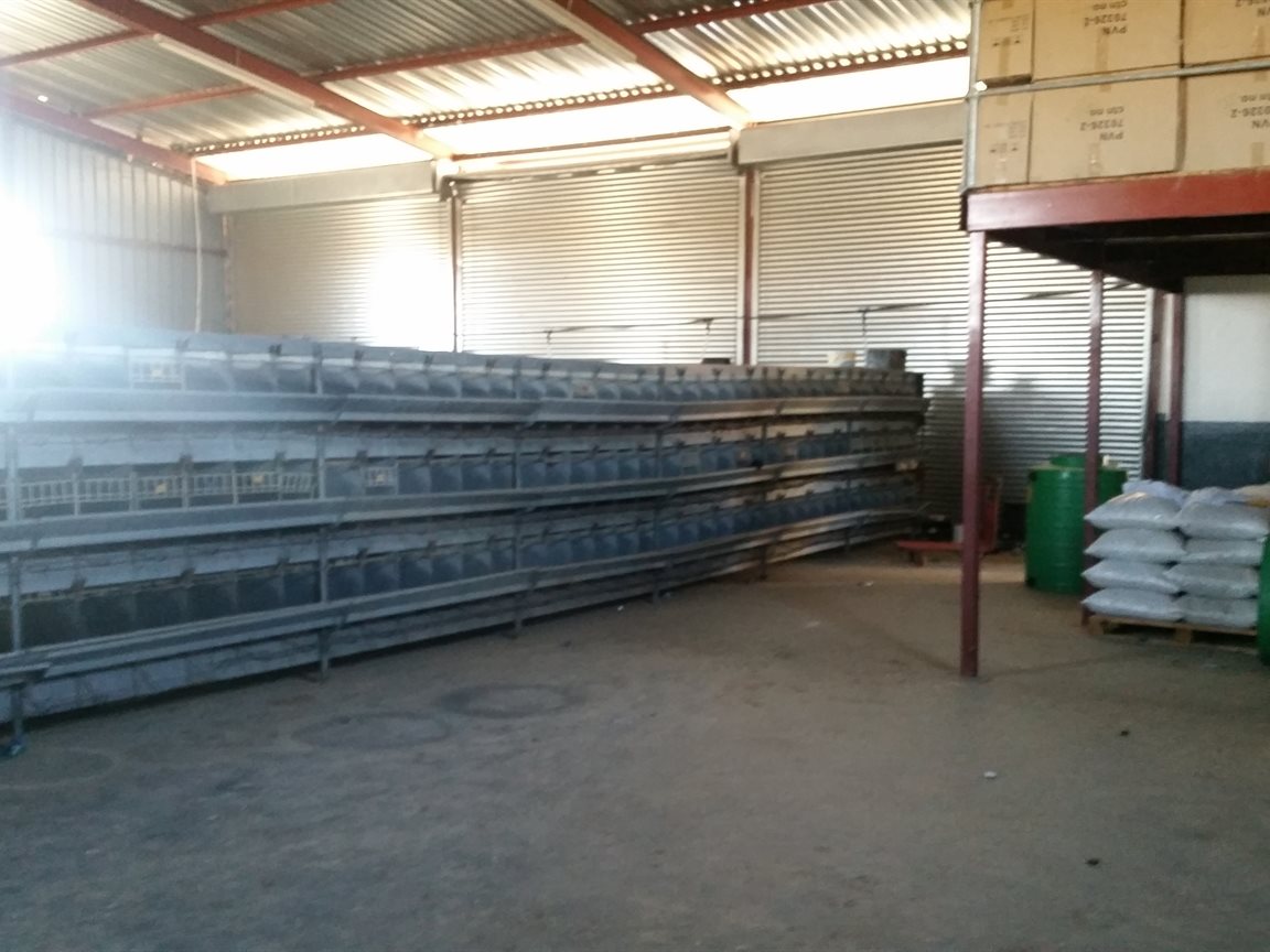 Brand new poulty farm ! photo 2