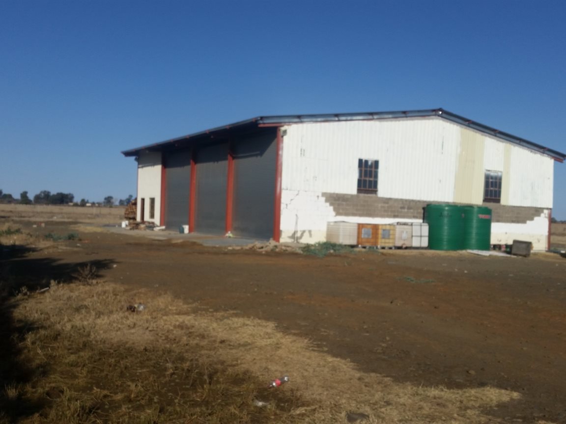 Brand new poulty farm ! photo 3