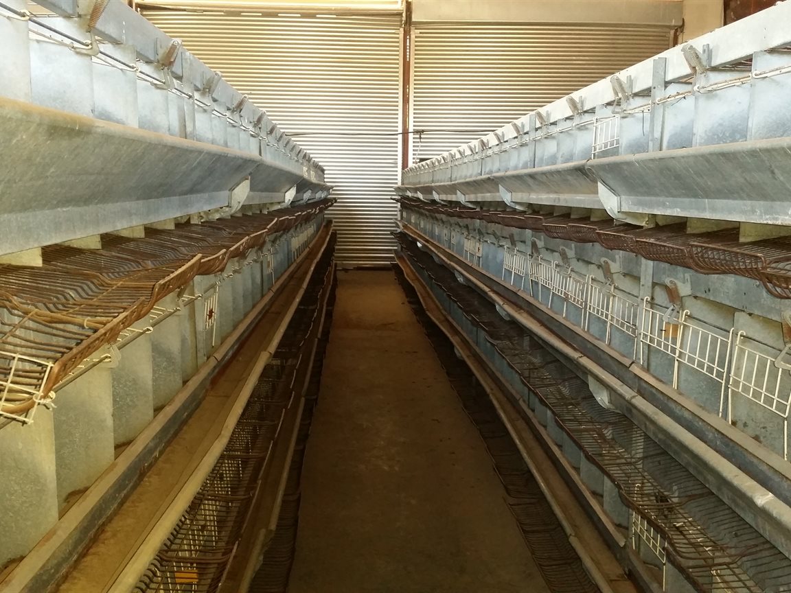 Brand new poulty farm !