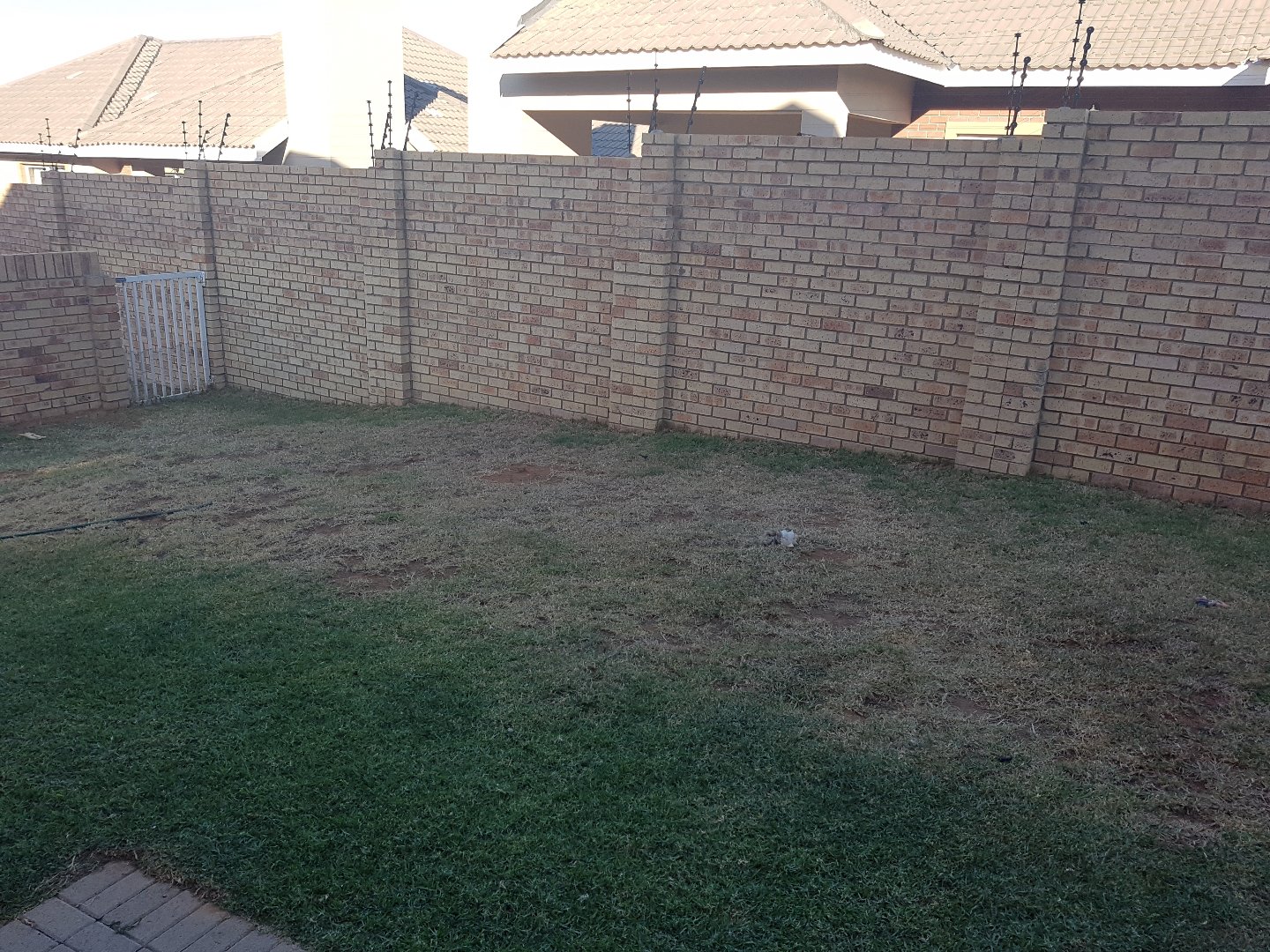 Lilly vale!! Bargain!! photo 3