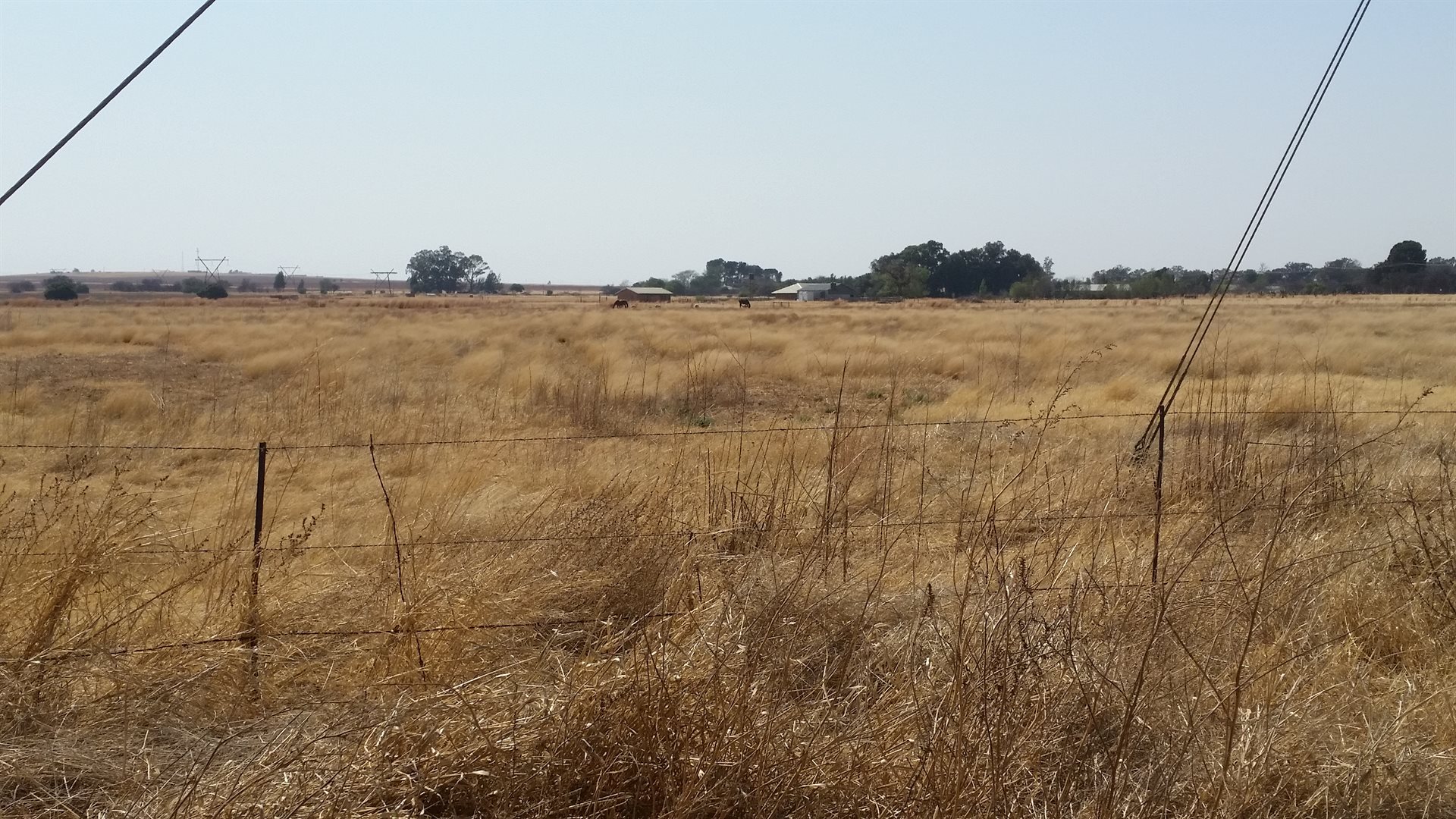 Spring BARGAIN......12.84HA  FULLTITLE !! photo 3