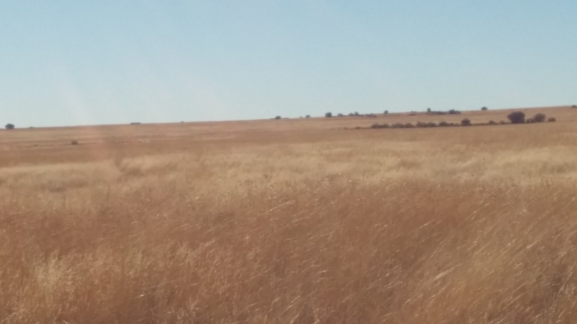 Opportunity!! Reserve now! Grassland