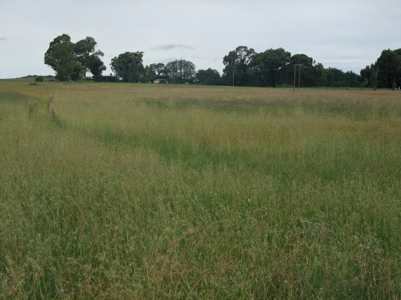 KAALSPRUIT GRAZING AND IRRIGATION FARM photo 2