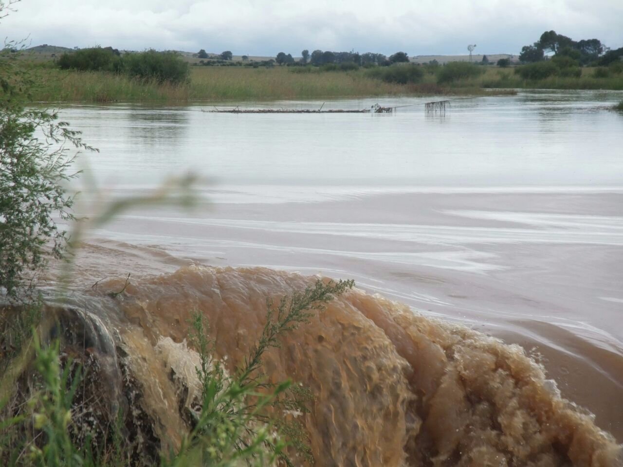 KAALSPRUIT GRAZING AND IRRIGATION FARM
