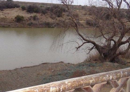 SITUATED BETWEEN BLOEMFONTEIN AND JAGERSFONTEIN  photo 3
