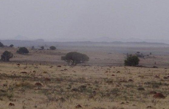 SITUATED BETWEEN BLOEMFONTEIN AND JAGERSFONTEIN  photo 4