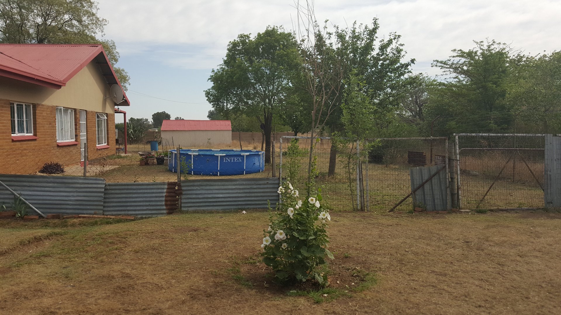 4.28 ha plot 5km vanaf stad photo 2