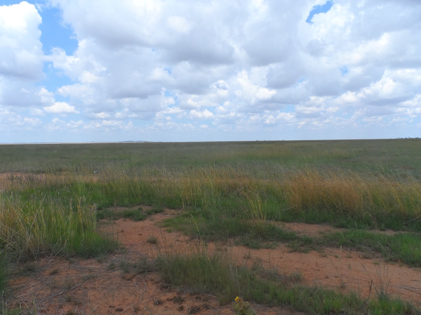 Plaas te koop naby Bloemfontein photo 2