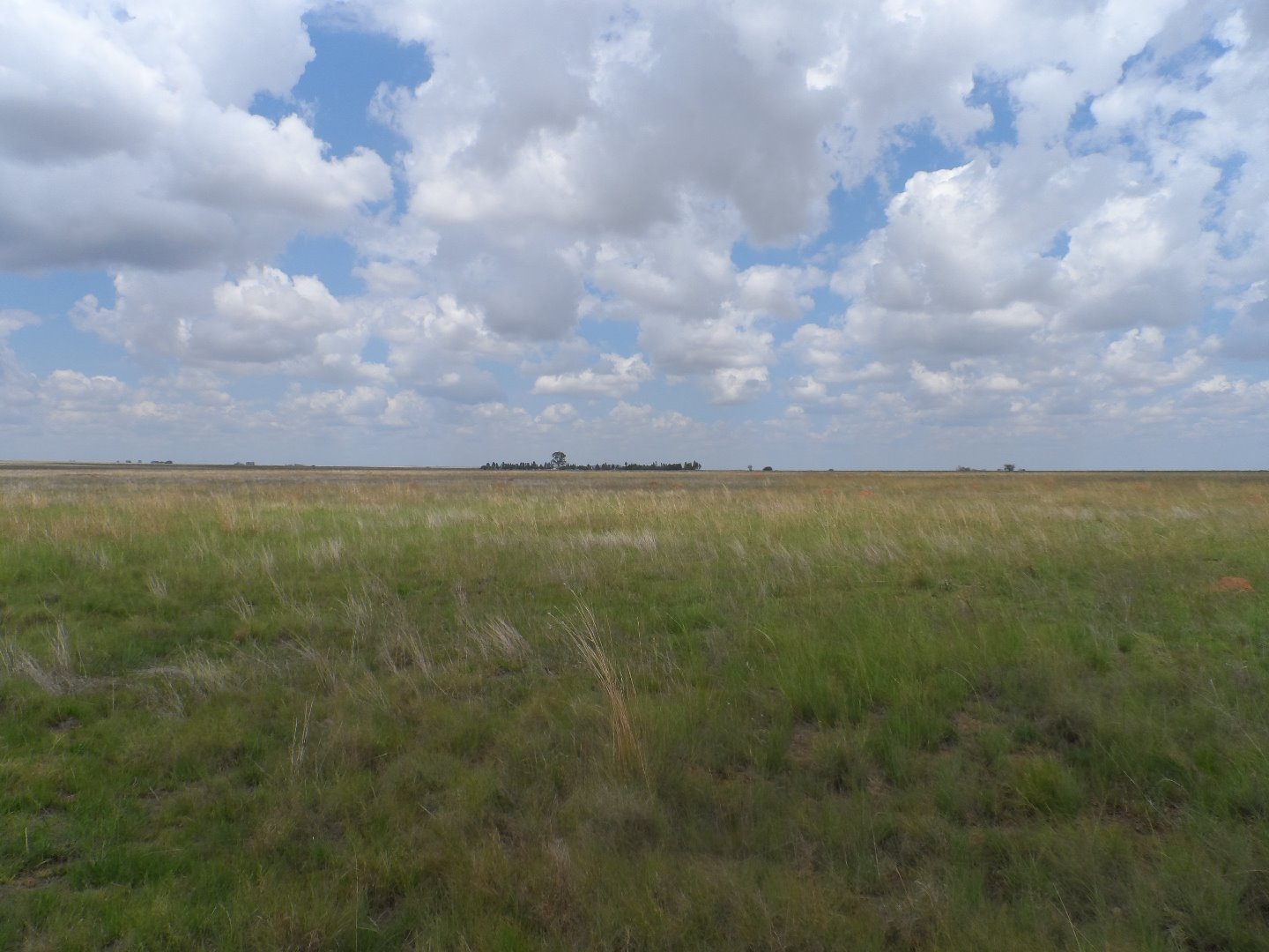 Plaas te koop naby Bloemfontein photo 4