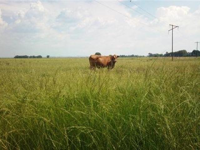 LIFESTYLE FARM ON JAGERSFONTEIN ROAD photo 2