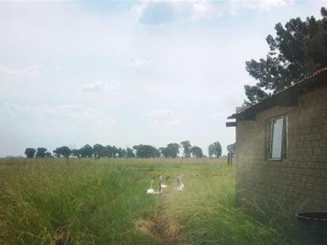 LIFESTYLE FARM ON JAGERSFONTEIN ROAD photo 3
