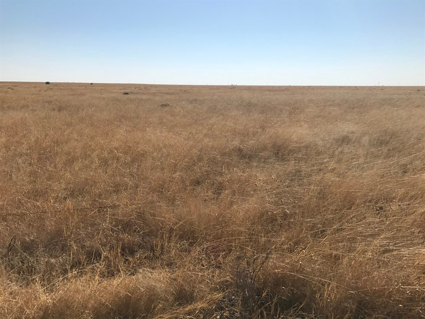 Big Farm for sale at a Great Price in Paradys photo 5
