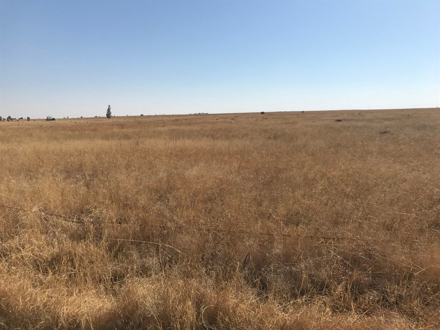 Big Farm for sale at a Great Price in Paradys photo 4