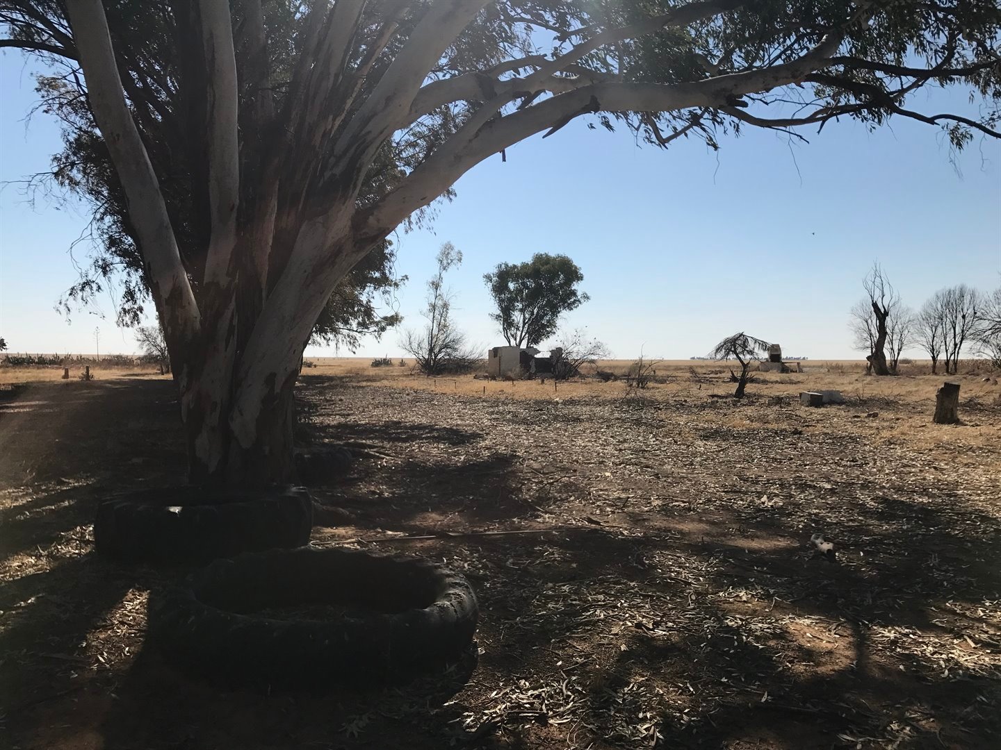 Big Farm for sale at a Great Price in Paradys