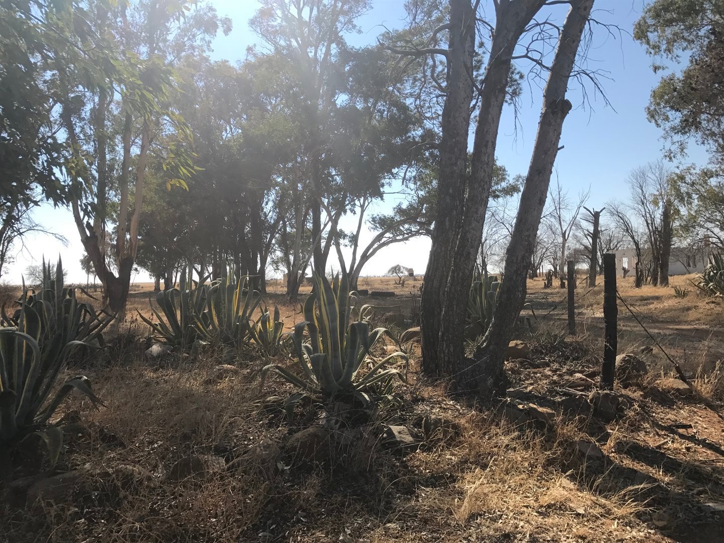 Big Farm for sale at a Great Price in Paradys photo 2