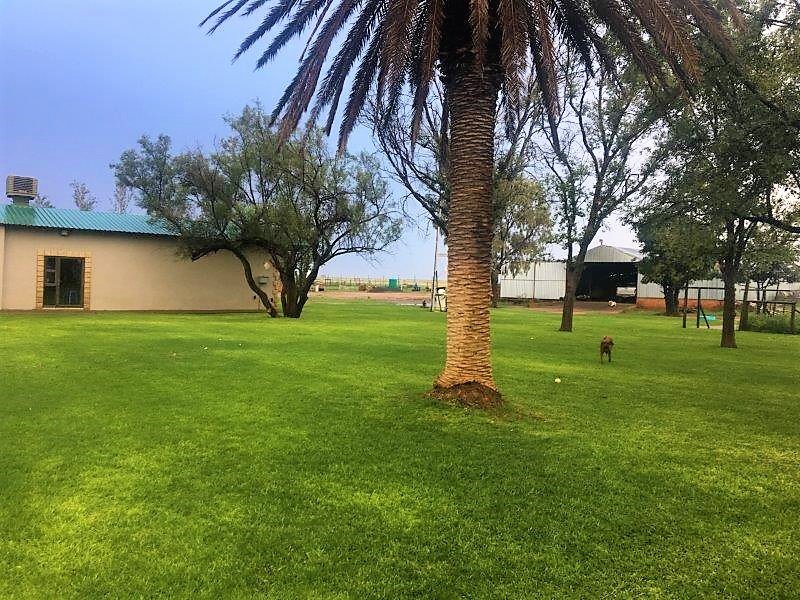 LIFESTYLE FARM IN BAINSVLEI 26 000 kub m water rights photo 2