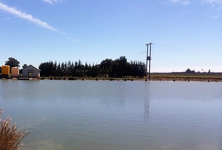 TOP IRRIGATION LAND photo 4