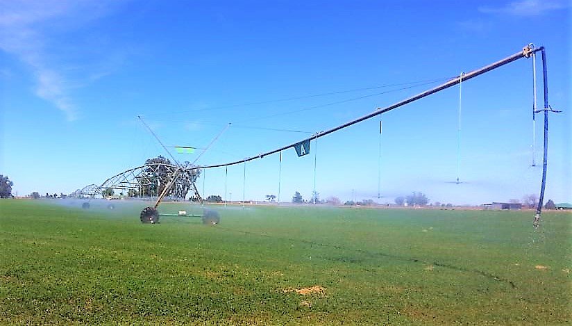 TOP IRRIGATION LAND photo 3