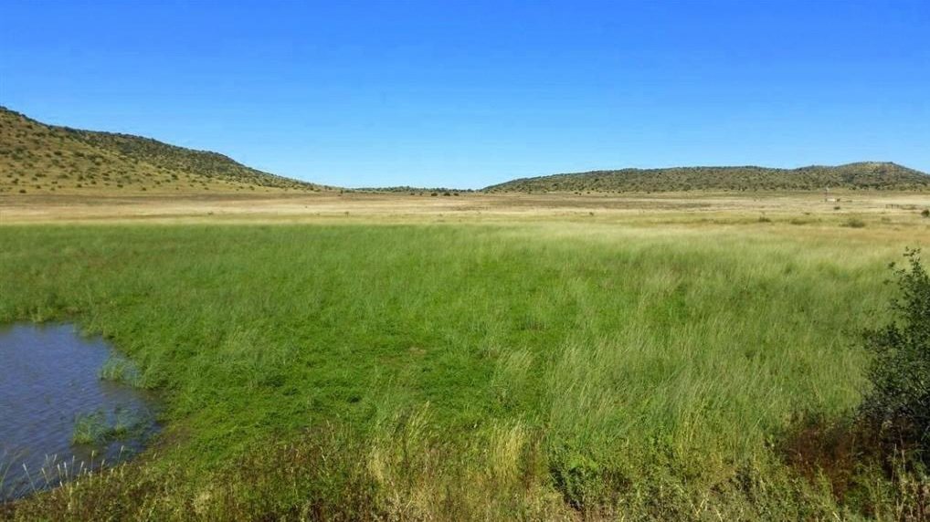 FAURESMITH ECO FARM photo 4