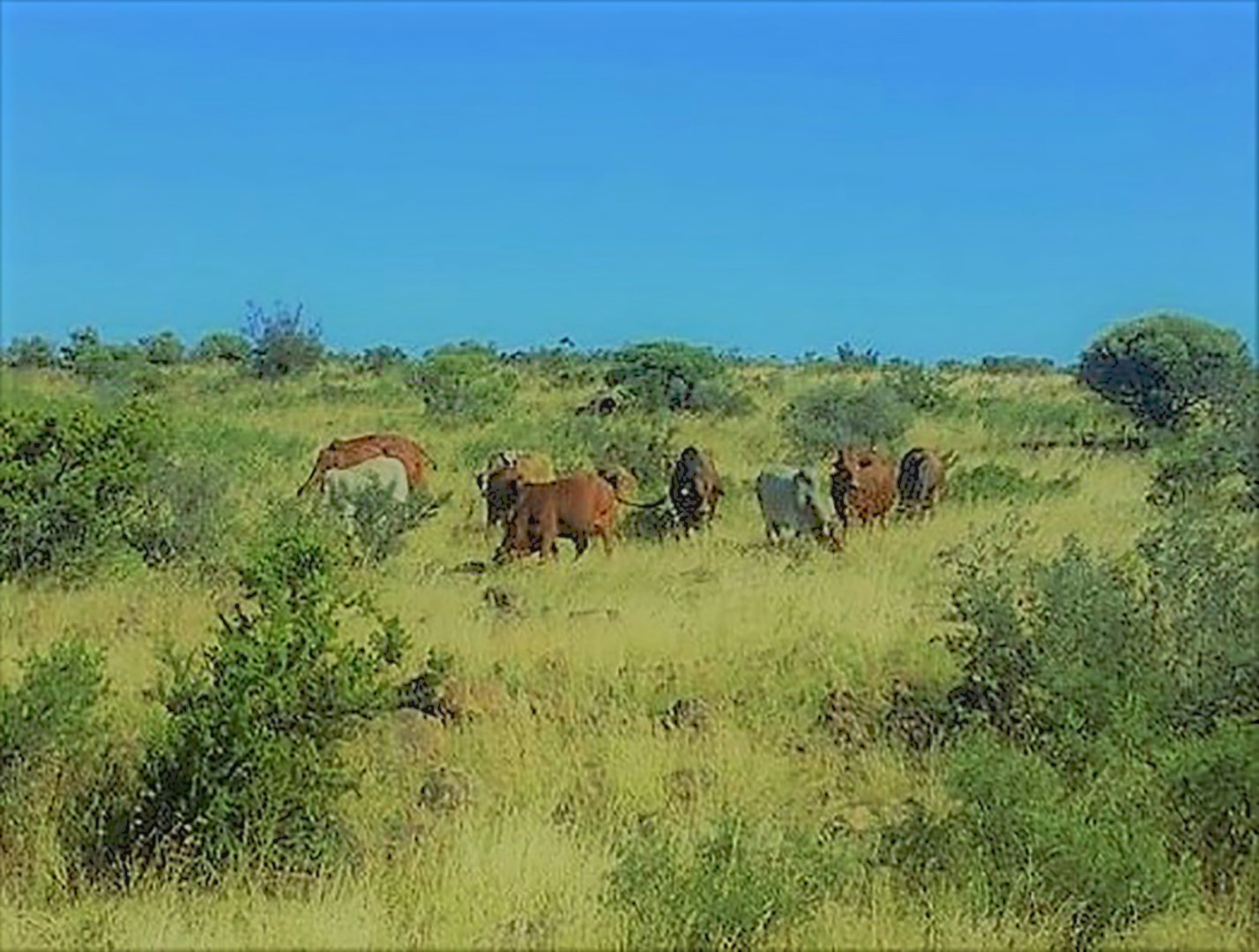 FAURESMITH ECO FARM photo 5