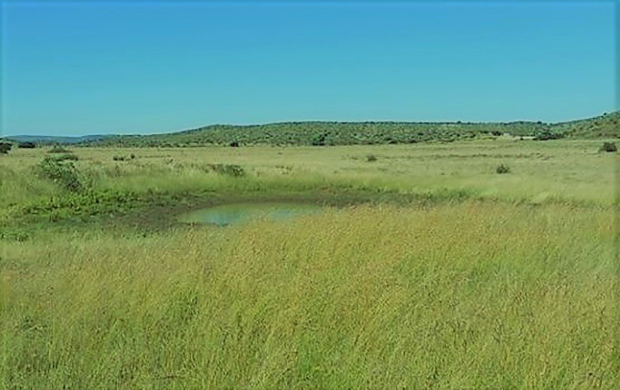 FAURESMITH ECO FARM photo 3