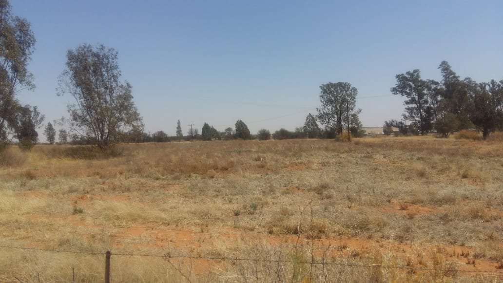 PIG AND VEGETABLE FARM 8 KM FROM TOWN photo 5
