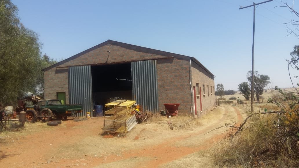 PIG AND VEGETABLE FARM 8 KM FROM TOWN photo 3
