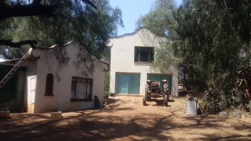 PIG AND VEGETABLE FARM 8 KM FROM TOWN photo 2