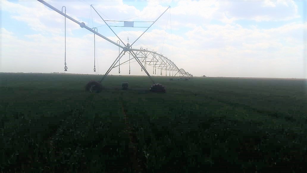 GLEN - MODDER RIVER IRRIGATION LAND photo 2