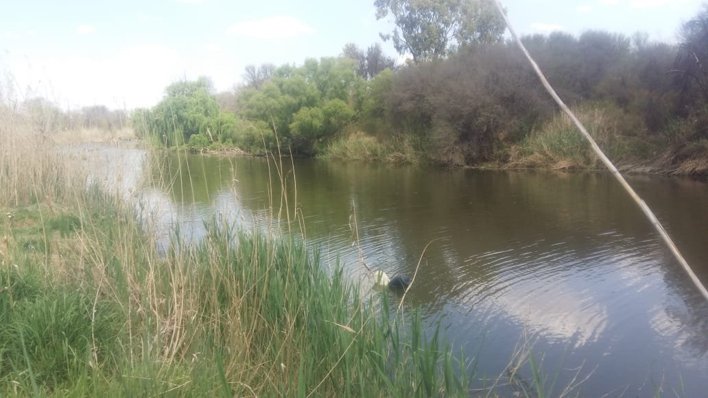 GLEN - MODDER RIVER IRRIGATION LAND photo 3