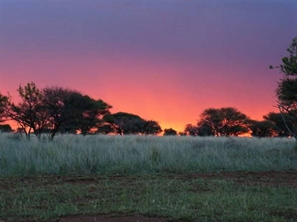 BEAUTIFUL FARM WITH CAMEL THORN, SPIKE-FLOWERED WHITE THORN AND SWEET-THORN TREES photo 5