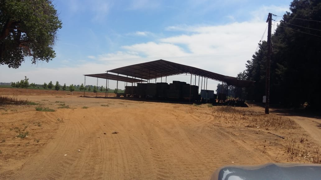 45 HA IRRIGATION AND 12.2 HA PECAN TREES photo 3