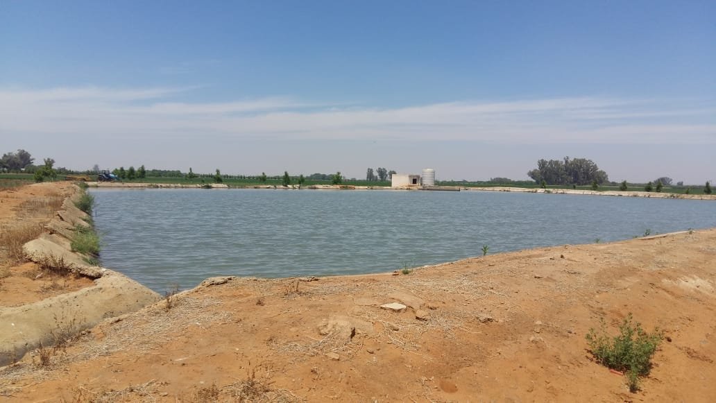45 HA IRRIGATION AND 12.2 HA PECAN TREES photo 2