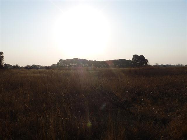 5 HA SECTIONAL TITLE WITH BOREHOLE photo 2