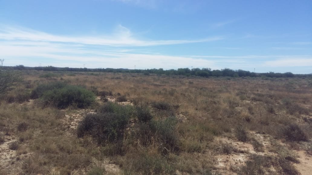 4688 Ha farm with 6 title deeds to sell as one or separately photo 2