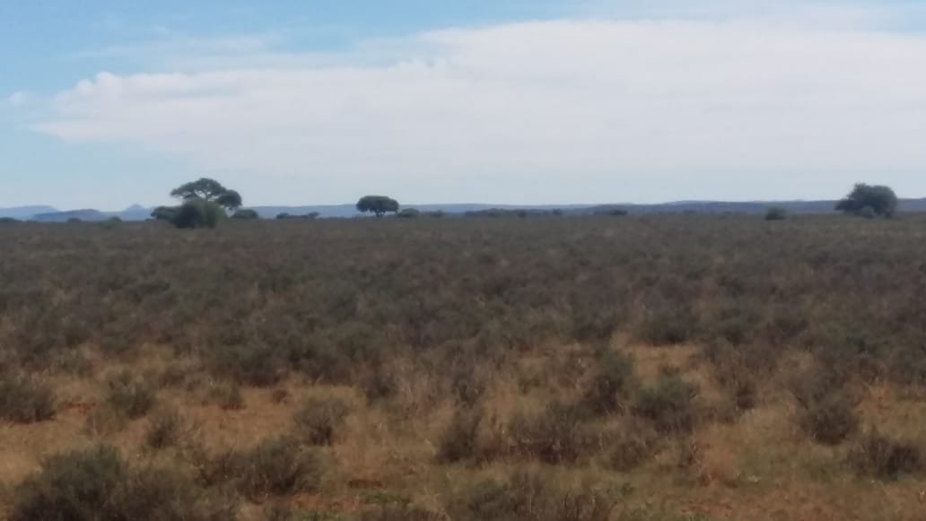 4688 Ha farm with 6 title deeds to sell as one or separately photo 5
