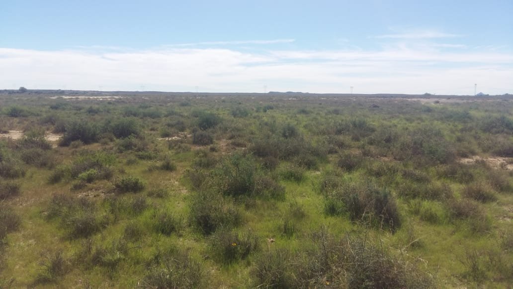 4688 Ha farm with 6 title deeds to sell as one or separately photo 4