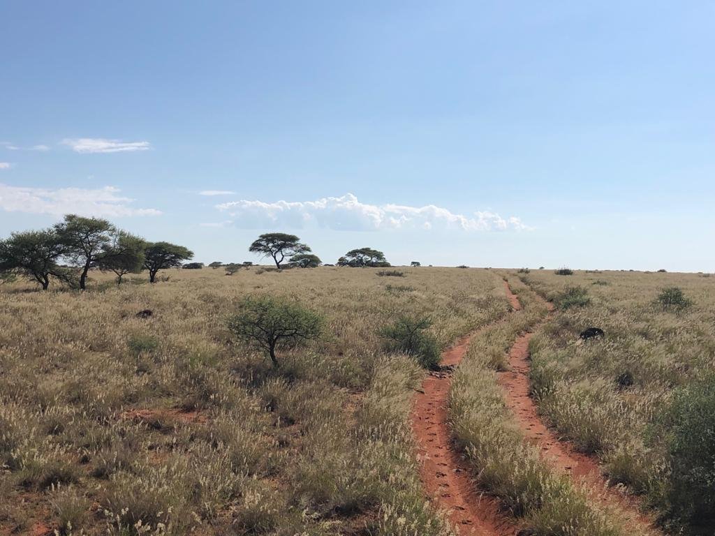 111 Ha waterrights with 70 ha Lucerne and 90 ha pivot infrastructure. photo 4