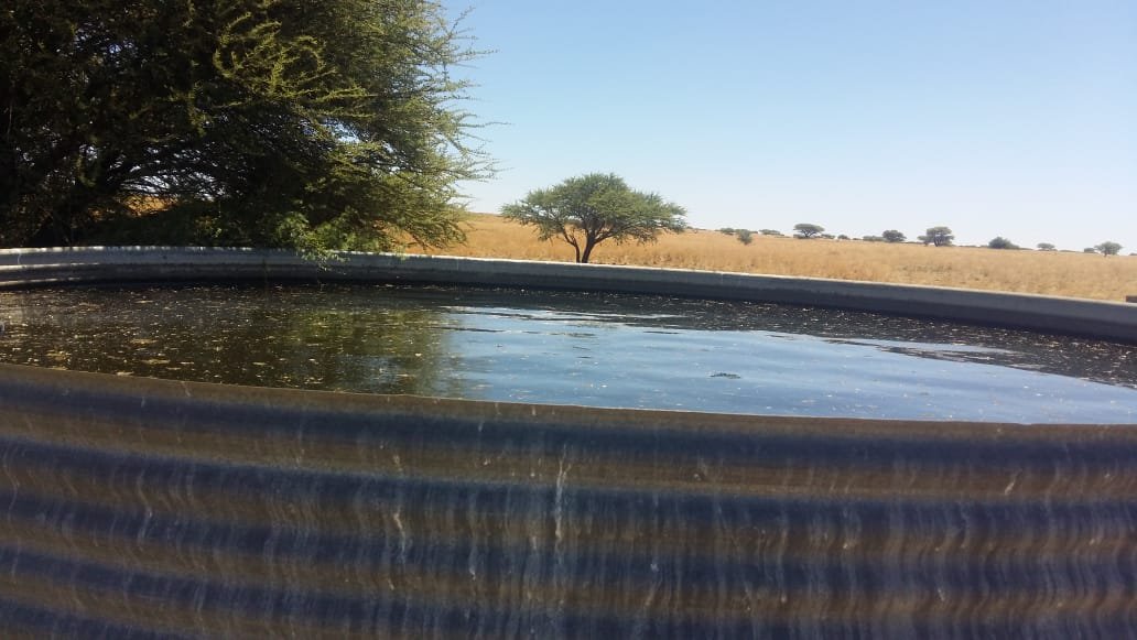 1254 ha game and cattle farm situated 20 km from kimberley photo 5