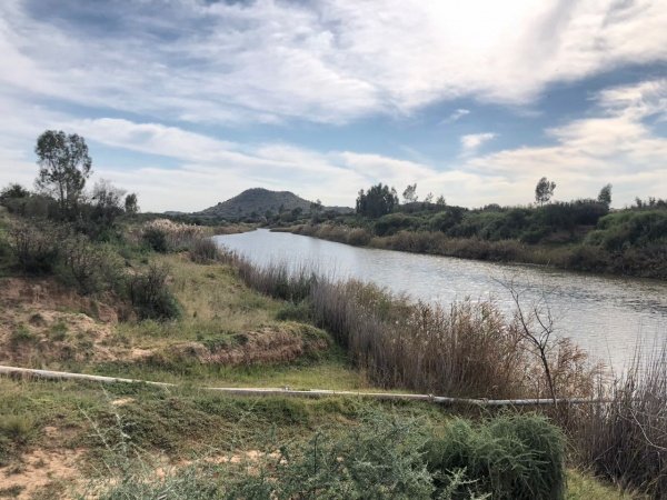 MULTIPLE FARMS FROM RIET RIVER VIA CANAL AND RIVER ITSELF photo 3