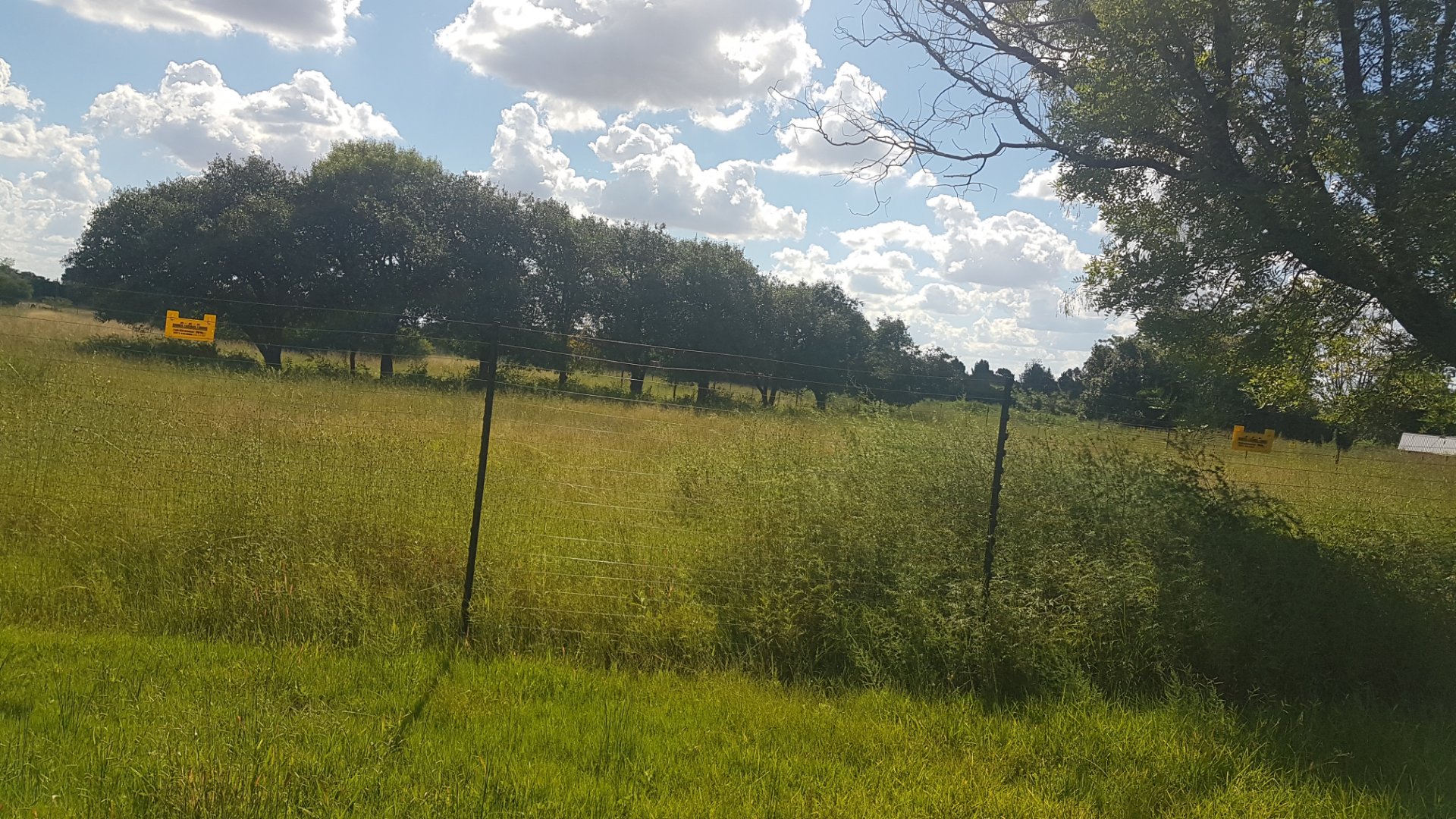 1 HECTARE VACANT LAND UP FOR GRABS !! CASH BUYERS !!