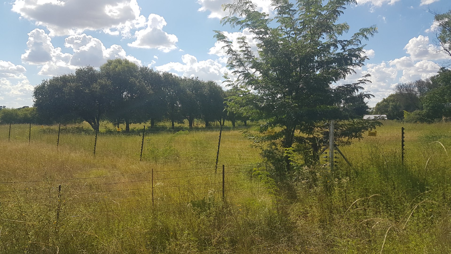  1 HECTARE  VACANT LAND UP FOR GRABS !!  CASH BUYERS !! photo 3
