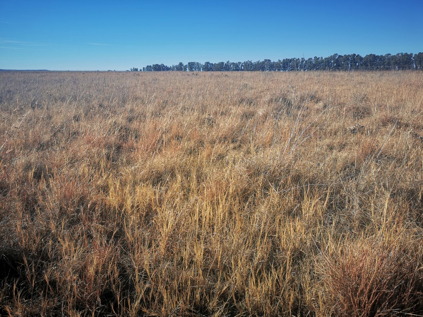 Off the Grid - Prime 1628 ha crop and grazing farm on banks of Sand River photo 4